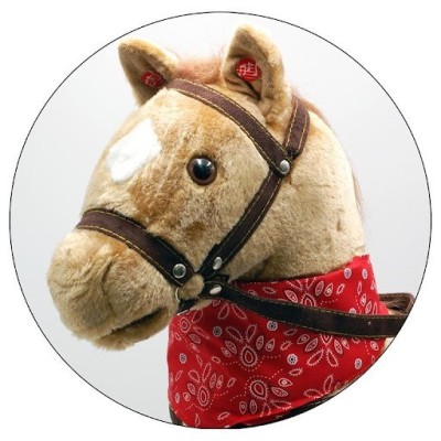 CABALLO BALANCIN CON RUEDAS TACHAN