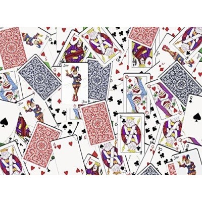 RAVENS, PUZZLE 500 PZAS., 52 CARTAS