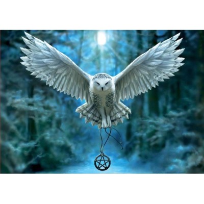 PUZZLE 500 Pzas. DESPIERTA TU MAGIA