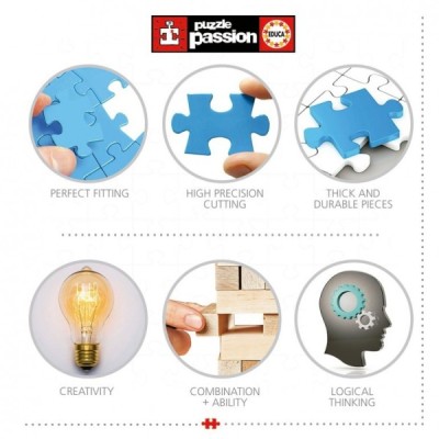 Puzzle ASTRONOMÍA 5000 Pzas.