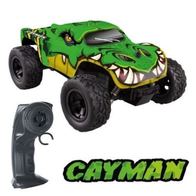 Coche R/C Cayman Radiocontrol Radio Control