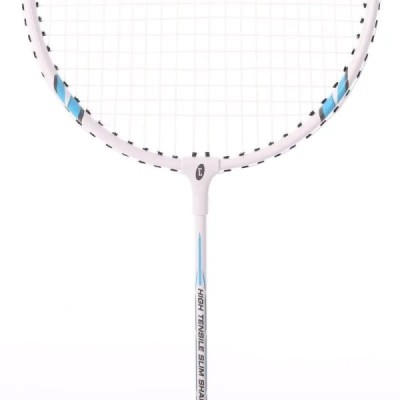 RAQUETA BADMINTON EQSI CON FUNDA