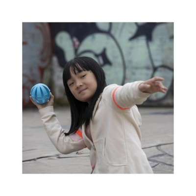 Juego THE BAND IT BALL