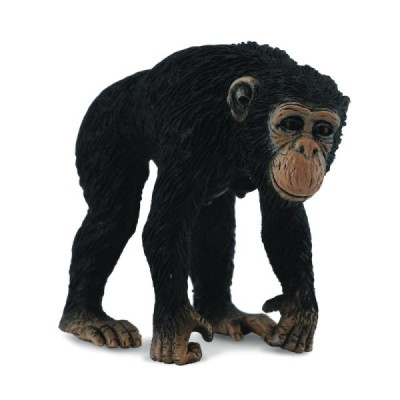 Collecta 88493, CHIMPANCE HEMBRA -M