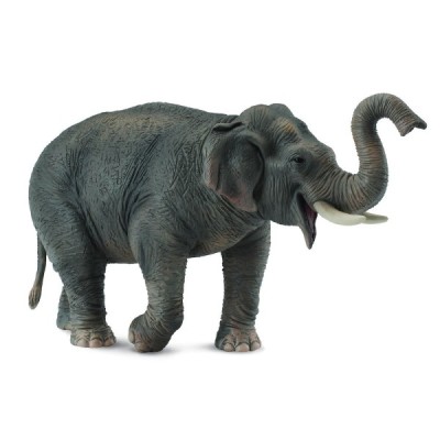 Collecta 88486, ELEFANTE ASIATICO -XL