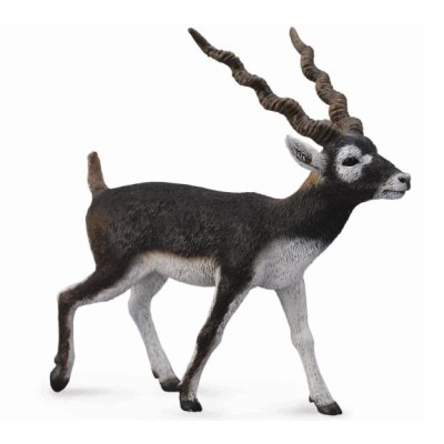Collecta 88638, ANTILOPE DE CUELLO NEGRO, Sasin -L