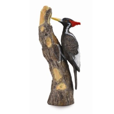 Collecta 88802, PAJARO CARPINTERO - L