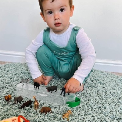 Collecta A1105-C, TUBO DE ANIMALES MINI SALVAJES