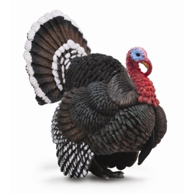 Collecta 88762, PAVO MELEAGRIS - L