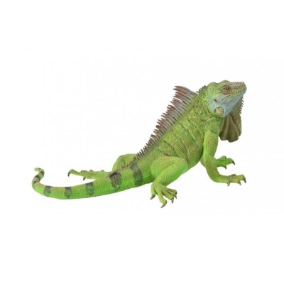 Collecta 88965, IGUANA - XL