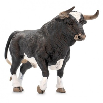 TORO BRAVO CALCETERO TROTANDO