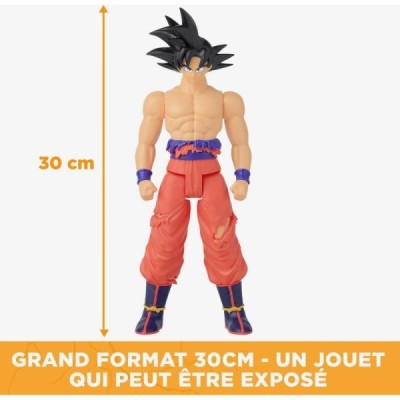 LIMIT BREAKER GOKU BATTLE DAMAGE