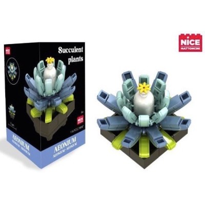 MATTONCINI EXOTIC PLANTS