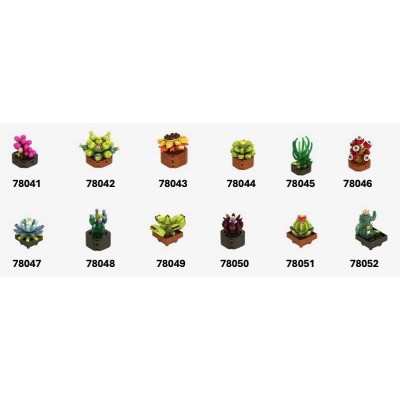 MATTONCINI EXOTIC PLANTS