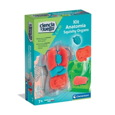 Kit Anatomía Squishy Organs