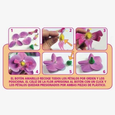 Juego ORQUÍDEA ARTE FLORAL